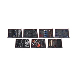 Composition 17modules 7 tiroirs 212 pièces
-module de douilles et accessoires 1/4'' chromeplus. 54 pcs (818.1311)
-module de douilles et cliquet 1/2''. 24 pcs (818.1303)
-module de douilles longues 1/4''. 3/8''. 1/2''. 27 pcs (818.1304)
-module de clés mixtes. 6 a 19 mm 14 pcs (815.1321)
-module de clés mixtes. 20. 21. 22. 24. 27 mm 5 pcs (815.1322)
-module de clés mixtes à cliquet avec adaptateur. 16 pcs (815.1342)
-module de pinces. 6 pcs (818.2350)
-module pinces circlips. 4 pcs (815.2353)
-module martellerie manche bois. ( remplace la ref. 815.1301). 10 pcs (815.1304)
-module de limes demi-douces. 5 pcs (815.1302)
-module vide (815.1300)
-module de tournevis. 11 pcs (818.2331)
-module de tournevis. 6 pcs (818.1334)
-module de clés à pipe debouchees 6 pans. 8 a 19 mm 12 pcs (818.1329)
-module de clés à pipe debouchees 6 pans. 21. 22. 24. 27 mm 4 pcs (818.1330)
-module sciage. 7 pcs (815.1317)
-module métrologie ( remplace la ref. 815.1310). 6 pcs (815.1306)